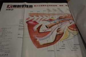 1380944417-1416315608