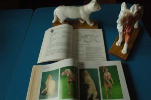 1380944417-1917046228