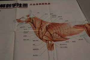 1380944417-2735413010