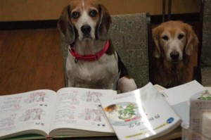 1380944420-2500680486