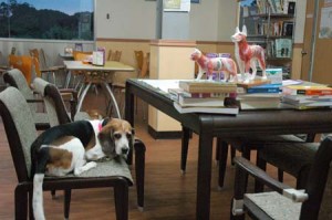 1380944421-2907942173