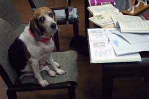 1380944421-4211447536