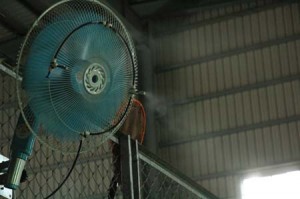 1380944425-1270691672