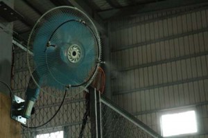 1380944425-1616211635