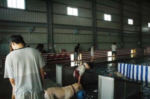 1380944426-355435924