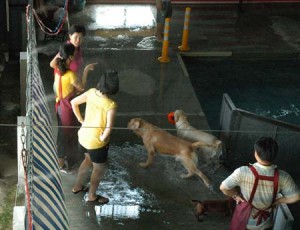 1380944427-4030291079