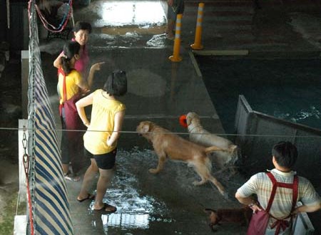 1380944427-4030291079