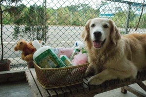 1380944442-1874997871