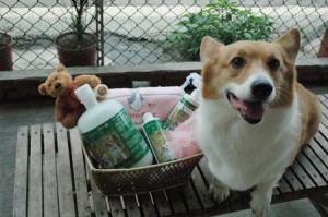 1380944442-3811293835