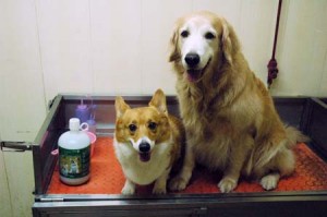 1380944443-2604098819