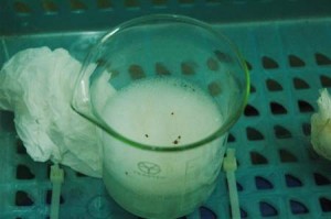 1380944444-4181520111