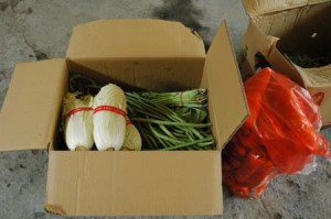 1380944482-2693589472