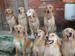 1380944501-2650930615