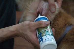 1380944514-2228459442