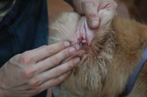 1380944514-764844523