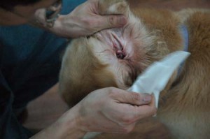 1380944515-3590490605