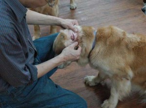 1380944515-4156256514