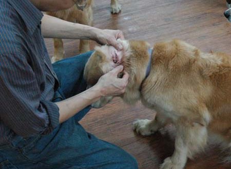 1380944515-4156256514