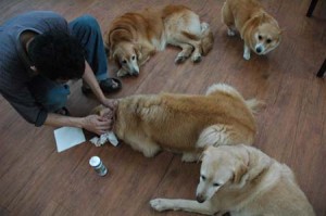 1380944516-2360758795