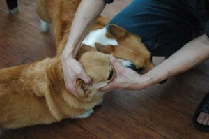 1380944517-135479780