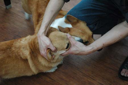 1380944517-135479780