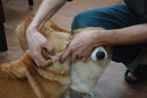 1380944517-2447443580