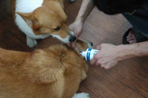 1380944517-3044564291