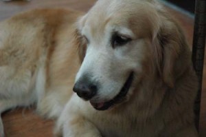 1380944518-647045967