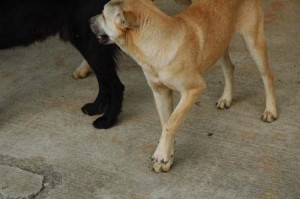 1380944550-1078140141