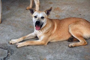 1380944550-1500248770