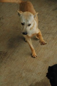 1380944551-261946136