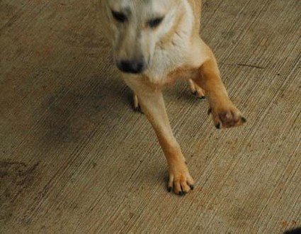 1380944551-261946136