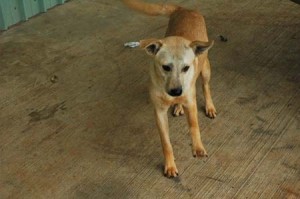 1380944551-795837725