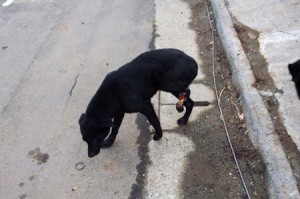 1380944552-1714430702