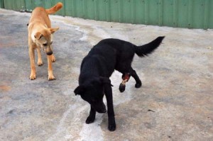 1380944552-4071794445