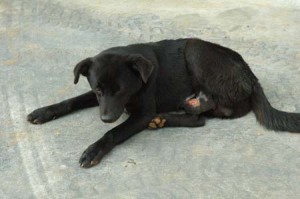 1380944553-3368869167