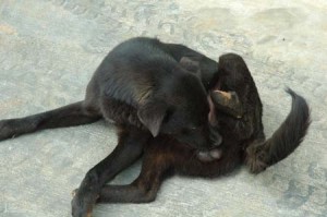 1380944553-877039682