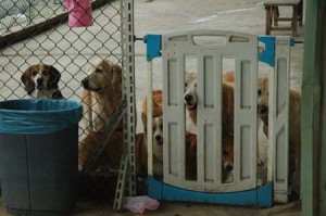 1380944554-2069694671