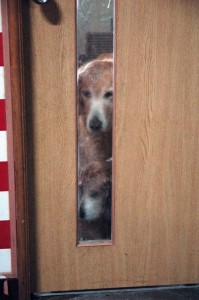 1380944615-1679898472