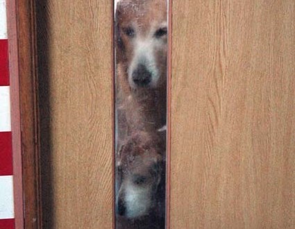 1380944615-1679898472