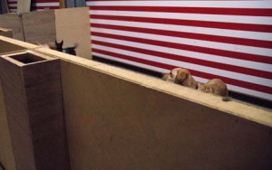 1380944619-2283737791