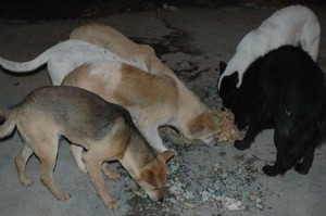 1380944624-2825186120