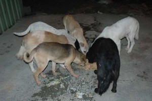 1380944624-3188213937