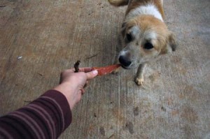 1380944625-2533366926