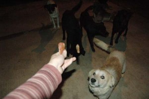 1380944626-1096433742