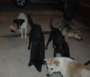 1380944626-2686424918