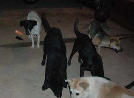 1380944626-2686424918