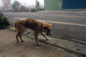 1380944627-2880147358