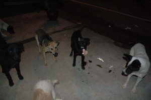 1380944627-4189195637