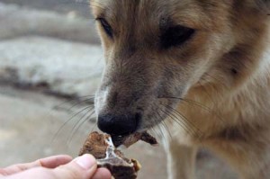 1380944628-2617956719